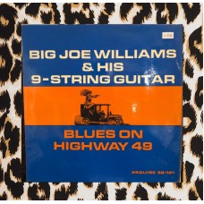 Big Joe Williams - Blues on Highway 49