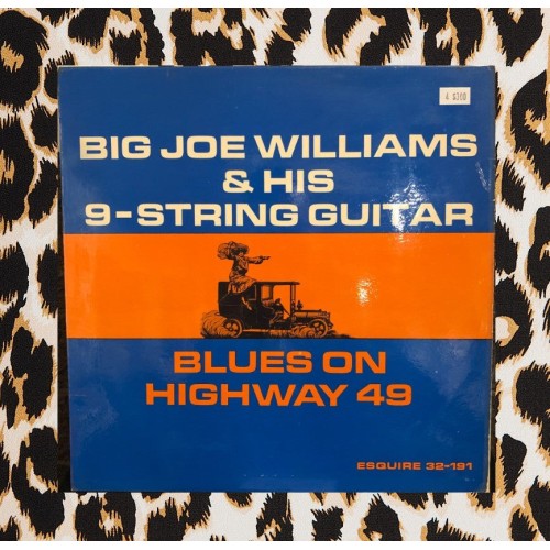 Big Joe Williams - Blues on Highway 49