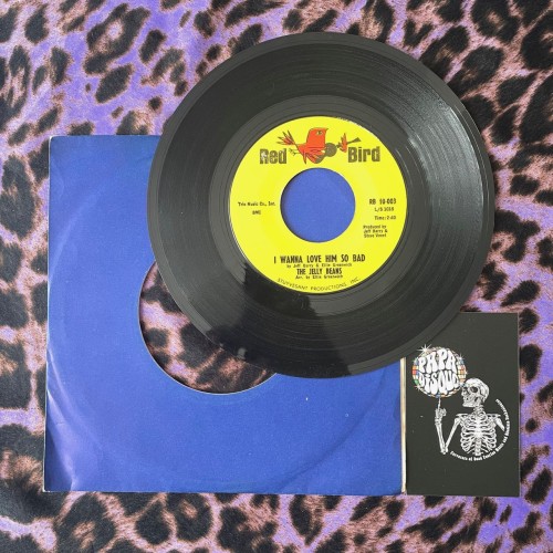 The Jelly Beans – I Wanna Love Him So Bad