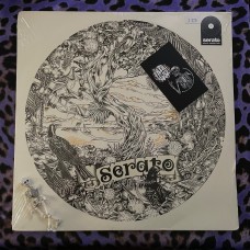 No Artist – Dan Tippett Picture Disc Control Vinyl