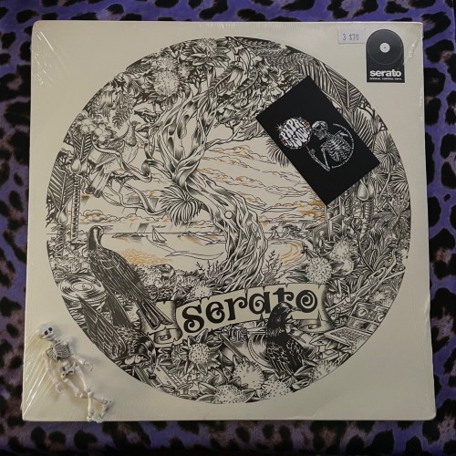 No Artist – Dan Tippett Picture Disc Control Vinyl