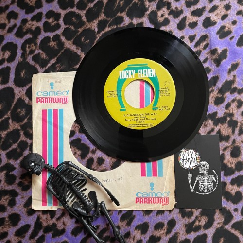 Terry Knight And The Pack – A Change On The Way / What's On Your Mind