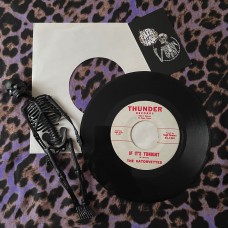 The Gatorvettes – If It's Tonight