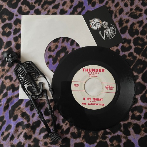 The Gatorvettes – If It's Tonight