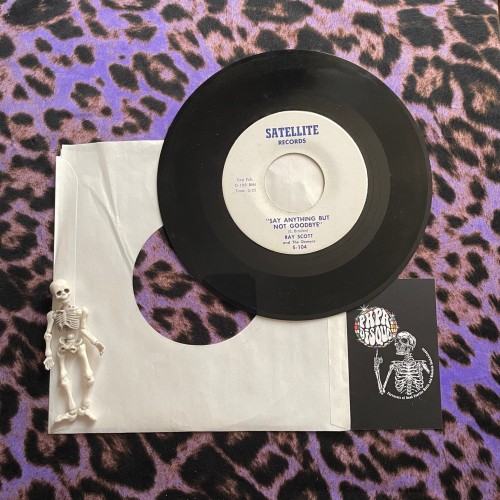 Ray Scott And The Demens – You Drive Me Crazy / Say Anything But Not Goodbye