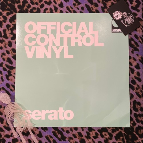 No Artist – Serato Scratch Live Control Record - Performance Series