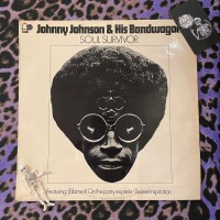 Johnny Johnson And His Bandwagon – Soul Survivor