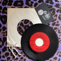 The Echoes – Baby Blue / Boomerang