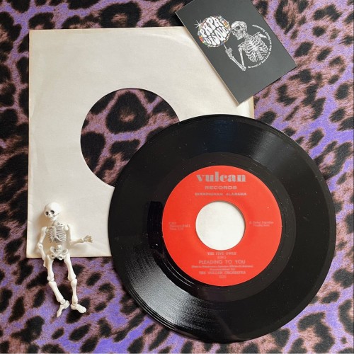 The Five Owls – Pleading To You / I Like Moonshine