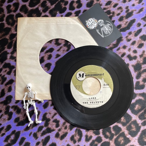 The Velvets – Laugh / Lana