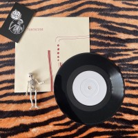 Tortoise – Why We Fight