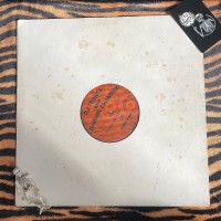DJ Trance and Darwin Chamber – Indians And Aliens