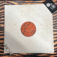 DJ Trance and Darwin Chamber – Indians And Aliens