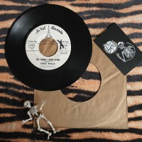 Chick Willis – The Things I Used To Do