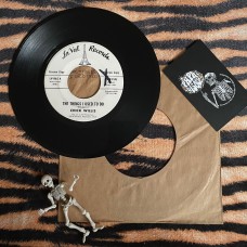 Chick Willis – The Things I Used To Do