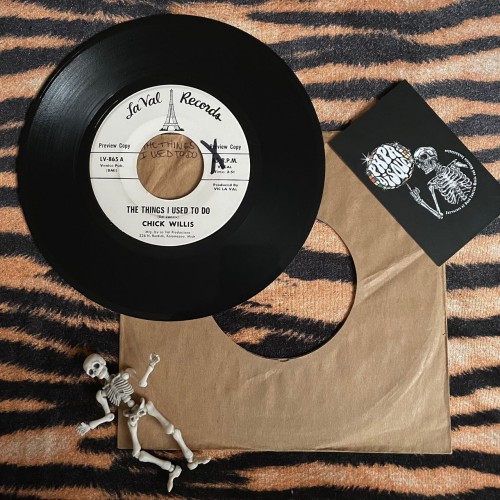 Chick Willis – The Things I Used To Do