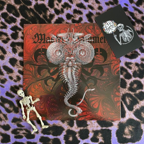 Master's Hammer – Kult Mládí A Mrazu
